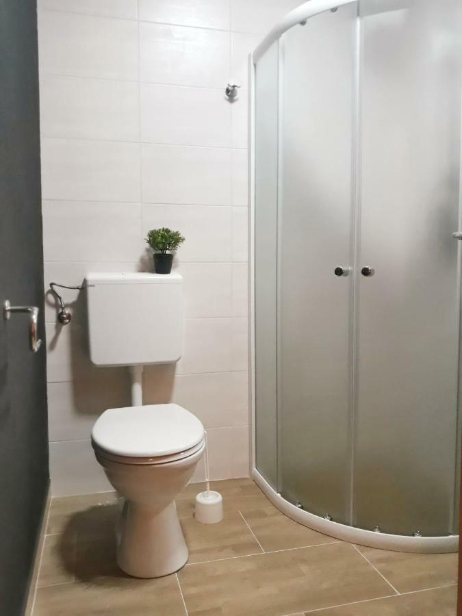 Villa Mihaela - Apartment Ika Cesarica Ngoại thất bức ảnh