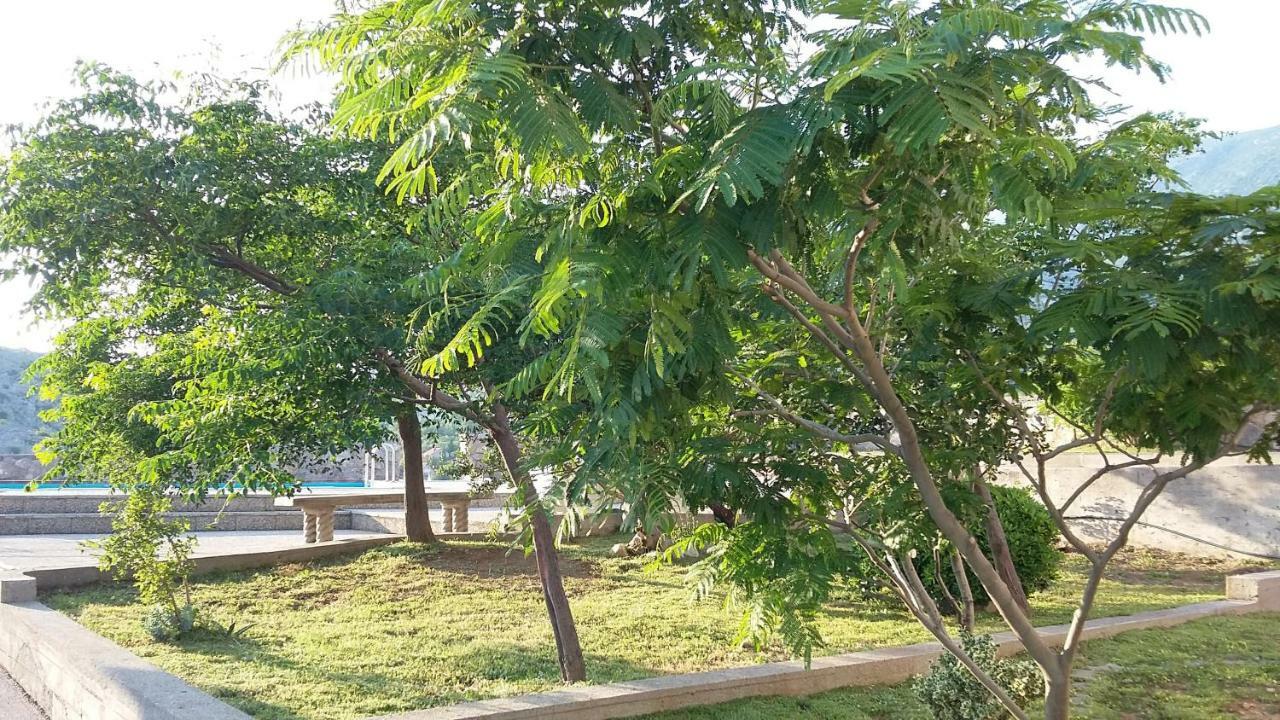Villa Mihaela - Apartment Ika Cesarica Ngoại thất bức ảnh